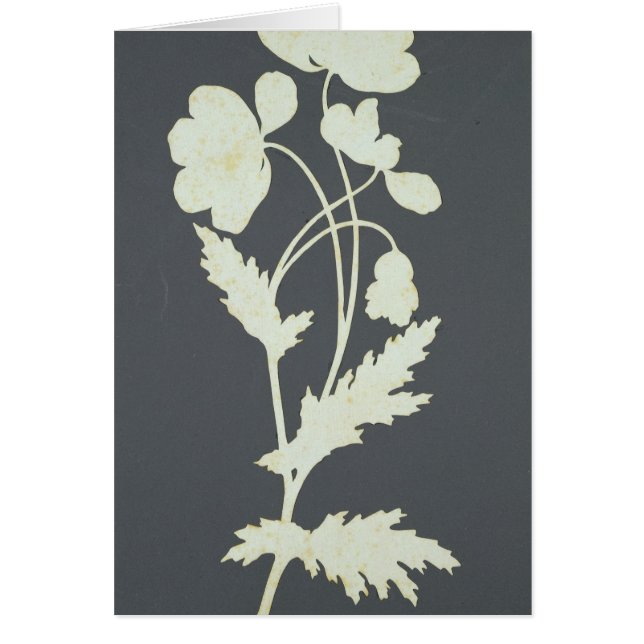 Blomma Hälsningskort (Framsidan)