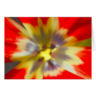 blomma hälsningskort