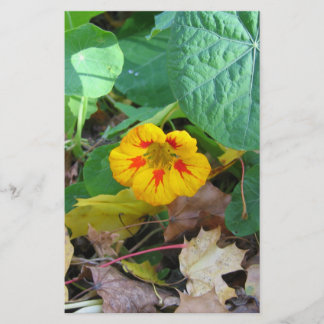 Blomma i blad brevpapper