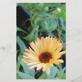 Blomma i blad två brevpapper