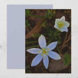 blomma i vitt  inbjudningar