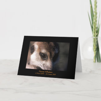 Blomma - legendkort kort