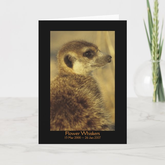 Blomma - legendkort kort (Framsida)