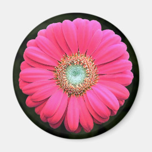 Blomma Magnet