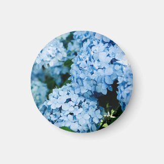Blomma Magnet