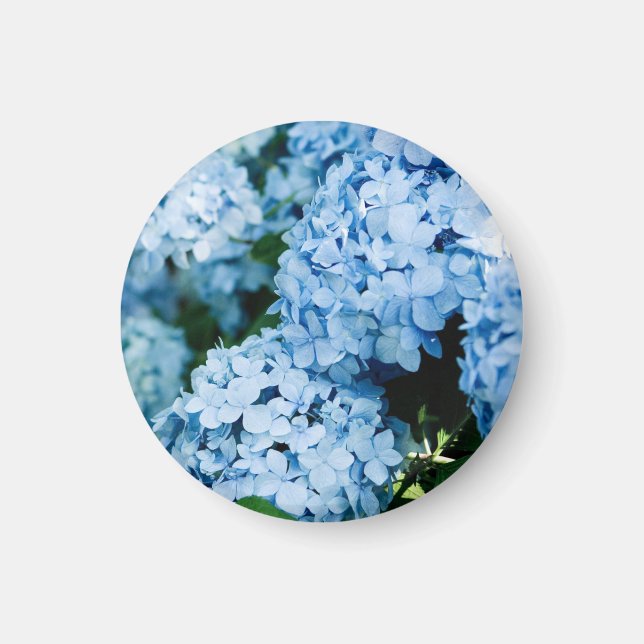 Blomma Magnet (Framsidan)