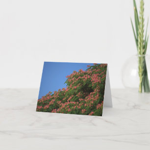 Blomma Mimosaträdnotecard Kort