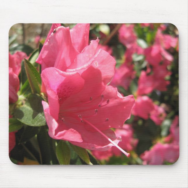 Blomma Mousepad Musmatta (Framsidan)