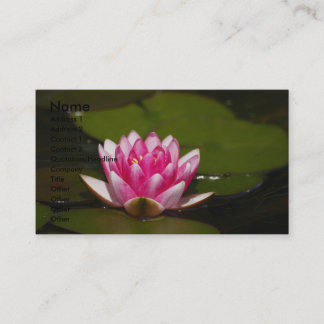 Blomma, namnge, adressen 1, adress 2, kontakt 1… visitkort