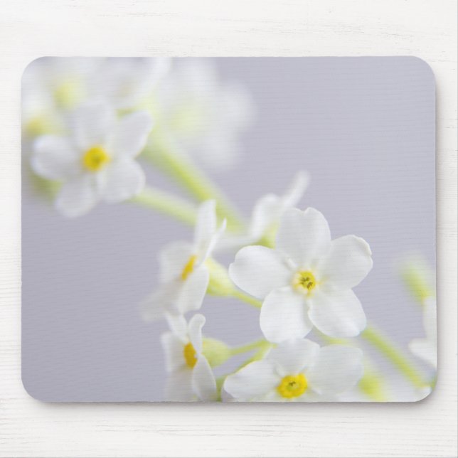 blomma nära musmatta (Framsidan)