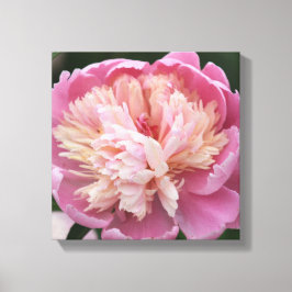 Blomma närbild - I blom - Rosa Canvastryck