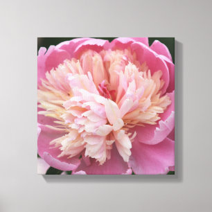 Blomma närbild - I blom - Rosa Canvastryck