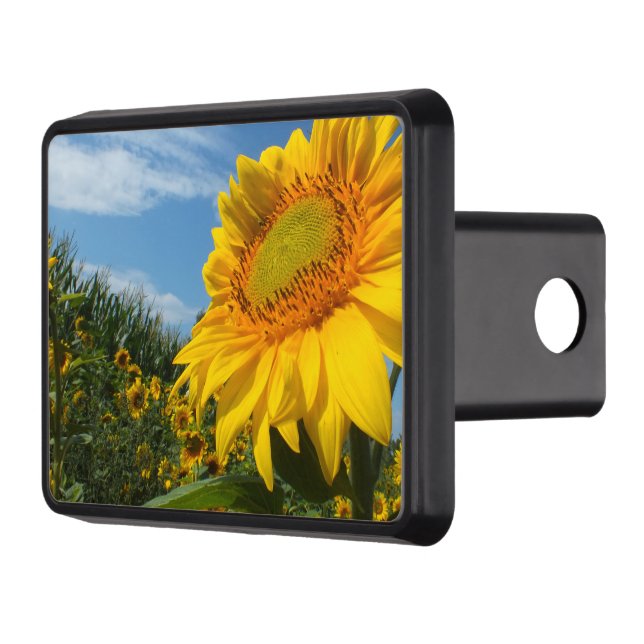 blomma, natur, sol, växt, sommar, solros, dragkroksskydd (Vänster)