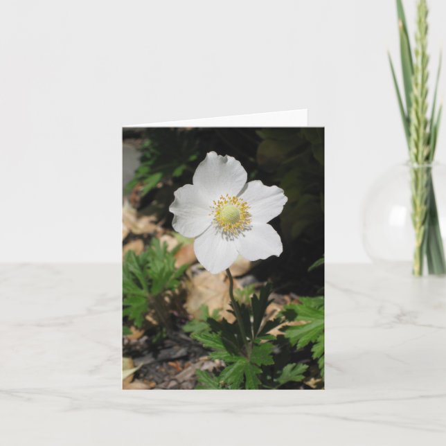 Blomma Notecards Kort (Framsida)