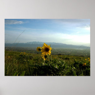 Blomma- och Wellsville bergskedja Poster