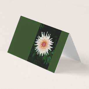 blomma på en coola kväll kort
