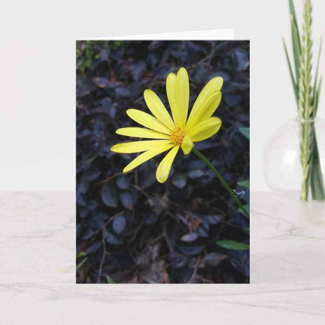 Blomma på festivalen Notecards (tom insida) Kort (Framsida)