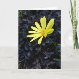 Blomma på festivalen Notecards (tom insida) Kort