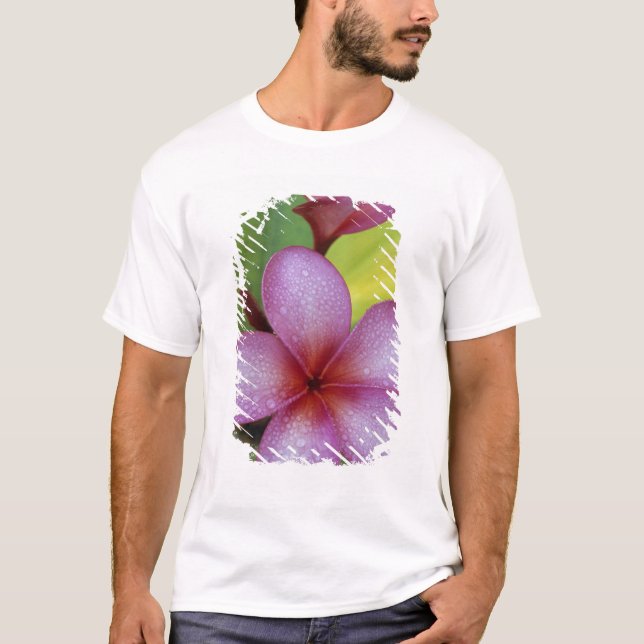 Blomma, Plumeria sp.), Söderhavet, Niue T Shirt (Framsida)