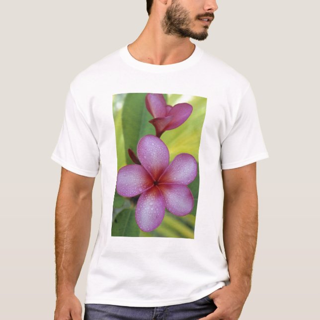 Blomma, Plumeria sp.), Söderhavet, Niue Tröja (Framsida)
