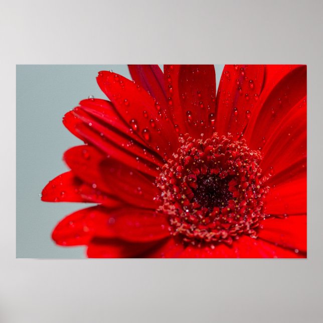 blomma poster (Framsidan)