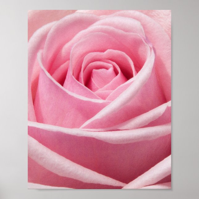 Blomma Poster (Framsidan)