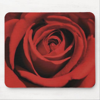 Blomma röd ros Mousepad Musmatta