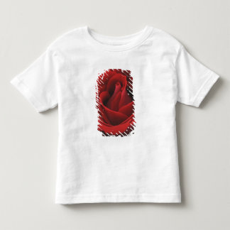 Blomma röd ros tee