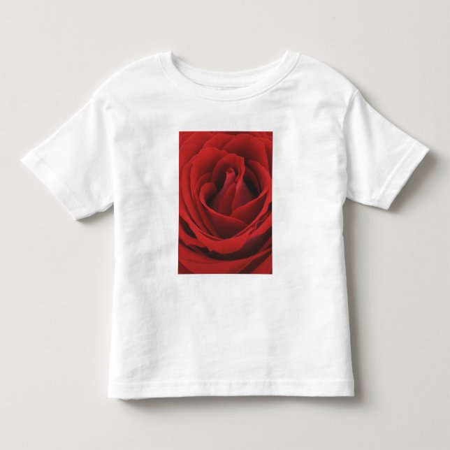 Blomma röd ros tee (Framsida)