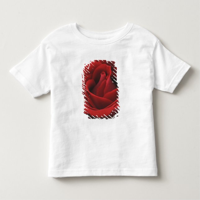 Blomma röd ros tee shirt (Framsida)