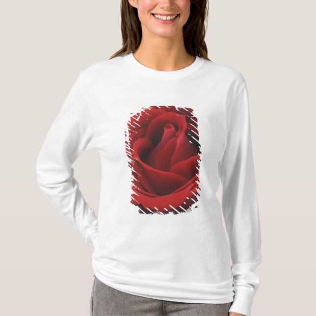 Blomma röd ros tee shirt (Framsida)