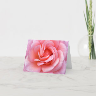 Blomma rosa ros Notecard Kort