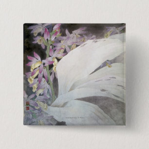 Blomma Seires II- Phaiuses Knapp