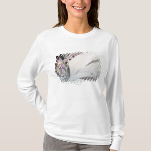 Blomma Seires II- Phaiuses T-shirt