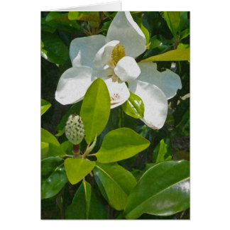 Blomma som bär fruktt OBS kort