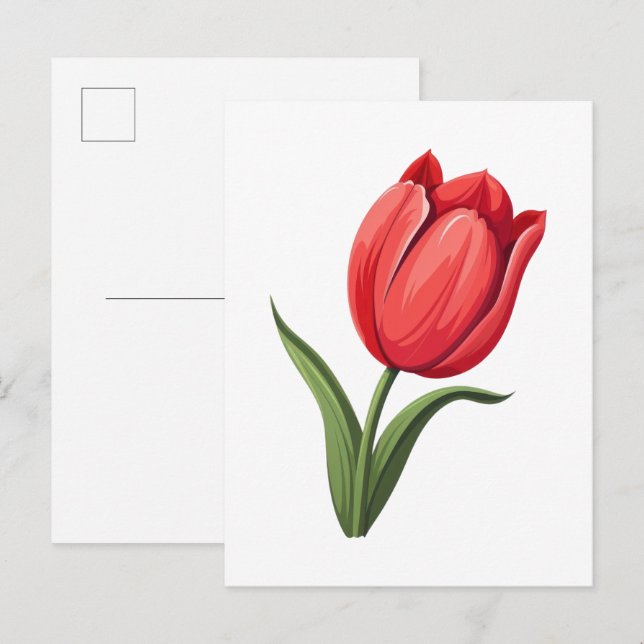 Blomma Tulpan Vykort (Fram/baksida)