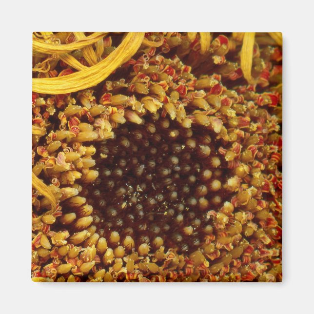 Blomma - Tusenskönor - I andra världar Magnet (Framsidan)