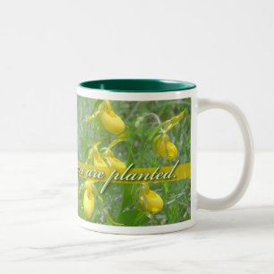 Blomma var dig planteras, gula Ladyslipper Två-Tonad Mugg