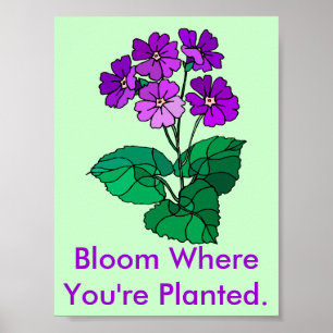 Blomma var du är den planterade affischen poster