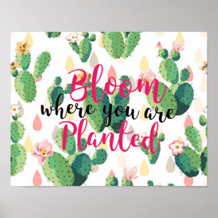 Blomma var du är den planterade poster