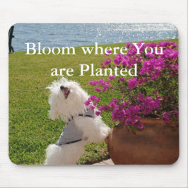 Blomma var du är planterad mousepad avbildar musmatta