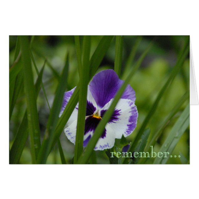 blomma var du planteras… hälsningskort (Framsidan Horizontal)