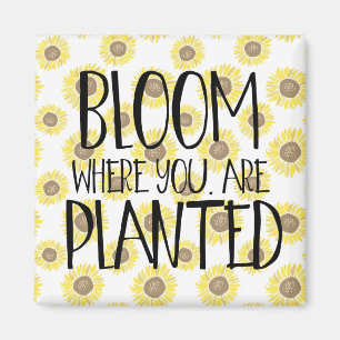 Blomma var du planteras magnet