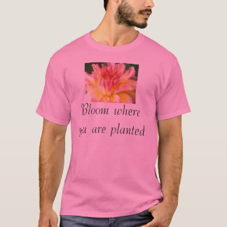 Blomma var du planteras tee