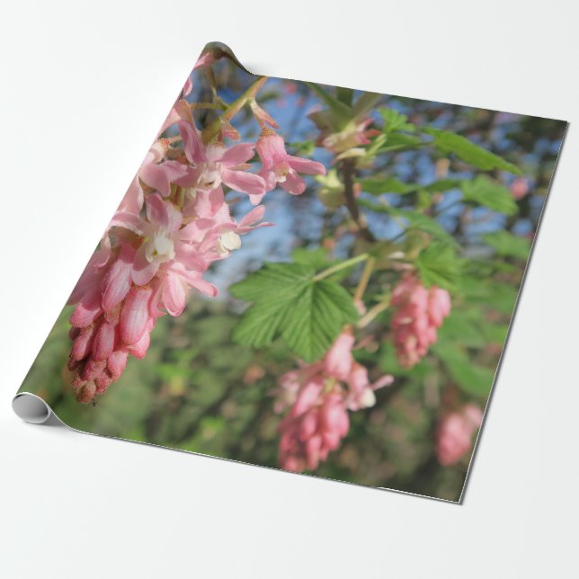 blomma, vår, rosa, sommar, natur, blom- presentpapper (Utrullad)