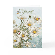 Blomma vit tusensköna trädgård med fjärilar
