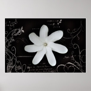 Blommaaffisch Poster