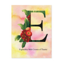 Blommaalfabet med vattenfärgbakgrund