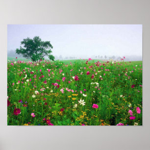 Blommafält av Kentucky Poster