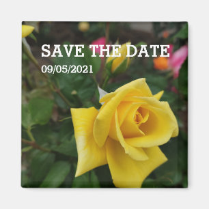 Blommagnet gul ros magnet